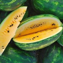 Load image into Gallery viewer, Black-Seeded Watermelons Red, Yellow and Orange