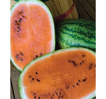 Load image into Gallery viewer, Black-Seeded Watermelons Red, Yellow and Orange
