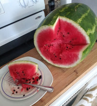 Load image into Gallery viewer, Black-Seeded Watermelons Red, Yellow and Orange