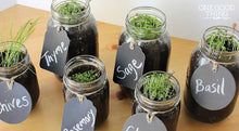 Load image into Gallery viewer, Mason jar Grow Kit