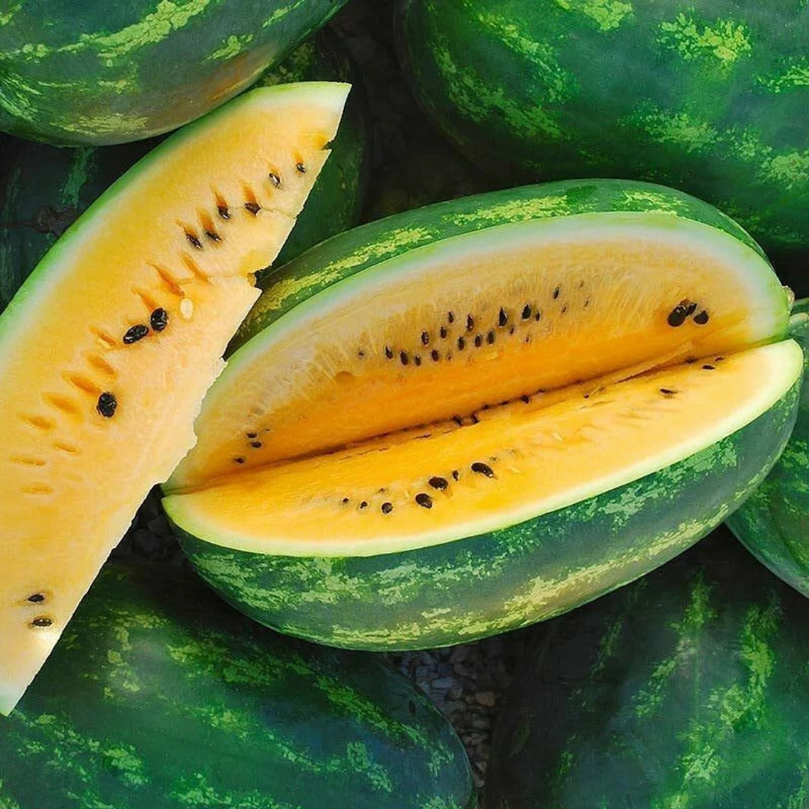 Seeded Watermelons – Let's Gro The Garden Life